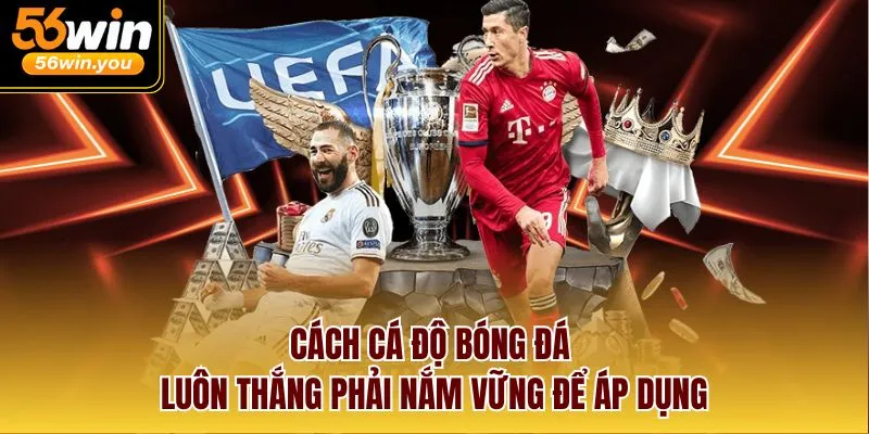 Cách Cá Độ Bóng Đá Luôn Thắng Phải Nắm Vững Để Áp Dụng